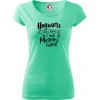 Harry - Hogwarts wasn’t hiring, so I teach Muggles instead - Dámske tričko Pure - L ( Mätová )