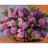 ZUTY Maľovanie podľa čísel KYTICA ORGOVÁNOV V PRÚTENOM KOŠÍKU Rámovanie vypnuté plátno na rám Rozmer 80 x 100 cm