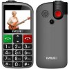 EVOLVEO EasyPhone FL, mobilní telefon pro seniory s nabíjecím stojánkem, stříbrná
