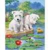 Norimpex Diamantové maľovanie Psíci s leknami 30 x 40 cm