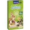 Maškrty pre hlodavce Vitakraft Loftys 100 g
