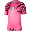 Nike | Dri-FIT Nigeria Stadium Goalkeeper 2026 | rúžová| S