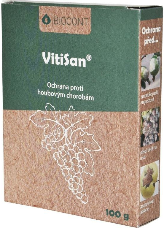 Floraservis Vitisan 100 g