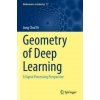 Geometry of Deep Learning: A Signal Processing Perspective (Brožovaná)
