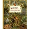 Stavitelia v živočíšnej ríši - Emilia Dziubaková