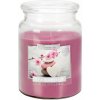 Bispol Aura Maxi Spa Garden 500 g