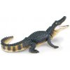 Safari® Aligátor