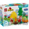 LEGO® DUPLO® 10452 Kempovačka - LEGO