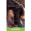 E-kniha Můj ohnivý kůň – Sněhová bouře - Chantal Schreiber