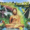 VAR - Buddha Bar 16 (2CD)