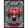 Labyrint u Mrtvého ženicha [Rečková Jana]