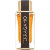 Salvatore Ferragamo Spicy Leather Special Edition parfumovaná voda pánska 100 ml
