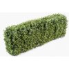 Umelý živý plot Buxus New kovová konštrukcia 25x95cm, 62cm