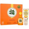Monotheme Book of Citruses Zagara : EDT 100 ml + sprchový gel 100 ml