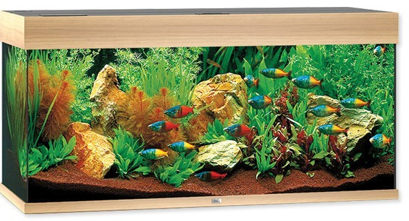 Juwel Rio LED Akvarijný set 180 svetlý dub 101 x 41 x 50 cm 180 l