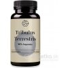Jeme zdravo Kotvičník zemný Tribulus terrestris 60 kapsúl