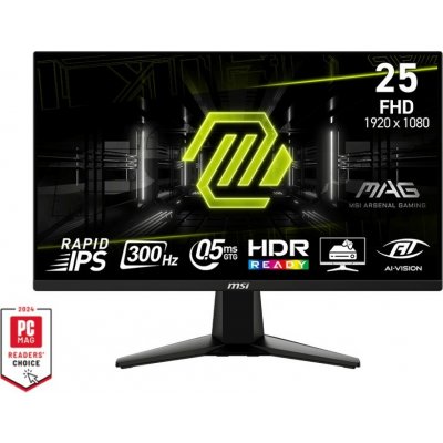 MSI MAG 255XF