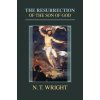 Resurrection of the Son of God (N. T. Wright)(Brožovaná)