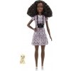 MATTEL Barbie Prvé povolanie Fotografka zvieratiek