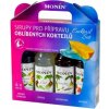 Monin Cocktail box 4 x 250 ml