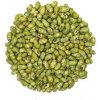 Svět plodů Edamame pražené solené váha 10kg