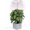 Emos LED GROW Lampa na pestovanie, 5 V DC, výška: 19,5 cm, 1538900020