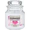 Yankee Candle Bubble Time 104 g