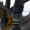 CBDICAL WELL:NESS – 6% CBD (550 mg) – 10 ml