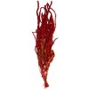 Amaranthus Burgundy - tm. červená