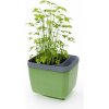 Gusta Garden HERBS BUDDY samozavlažovací kvetináč zelený GG-122F10