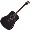 Schecter Robert Smith RS-1000