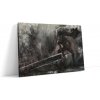 Obraz Berserk Warrior - 60x40