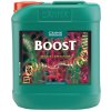 CannaBoost Accelerator 5 L