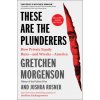 These Are the Plunderers: How Private Equity Runs--And Wrecks--America (Joshua Rosner)(Brožovaná)