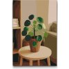 Vymalujsisam.sk Maľovanie podľa čísiel - Pilea peperomioides Veľkosť: 40x60cm, Rám: Bez rámu, iba zrolované plátno