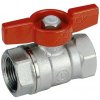 GIACOMINI R251D 3/4