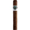ASYLUM SCHIZO TORO (1ks)