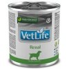Farmina Vet Life dog Renal 300 g