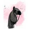 HOBBY HORSE A4/A5