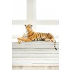 The Bears® Plyšový tiger 210 cm