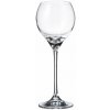 CRYSTALITE BOHEMIA BOHEMIA CARDUELIS POHÁR NA BIELE VÍNO 240ML SADA 6KS