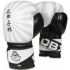 Boxerské rukavice DBX BUSHIDO B-2v8 10oz