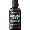 Allnature Esenciálny vonný olej Eukalyptus 10 ml