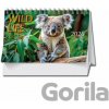 Mláďata Wild life stolní 2026