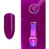 Molly Lac Gél lak GLOWING TIME SPECULATION 237 5 ml