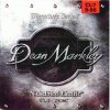 Dean Markley DM 2508 C