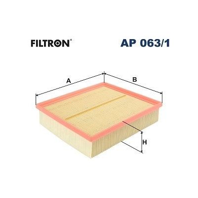 FILTRON Vzduchový filter AP 063/1