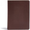 CSB He Reads Truth Bible, Brown Genuine Leather: Black Letter, Wide Margins, Notetaking Space, Reading Plans, Sewn Binding, Two Ribbon Markers, Easy-T (Csb Bibles By Holman,He Reads Truth,Raechel Myer