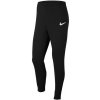 Nike Park 20 Fleece Pant
