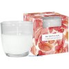 Bispol Aura Red Fruits & Aloe 100 g